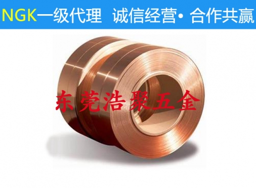广州日本进口钛铜带